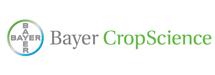 Bayer Bayer